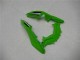 Carene Moto Kawasaki EX300 2013-2016 - Verde Nero Argento