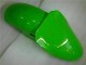 Kits Carenatura Moto Iniezione Kawasaki ZX6R 2000-2002 - Verde Nero